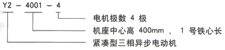 YR系列(H355-1000)高压YJTFKK5602-12-400KW三相异步电机西安西玛电机型号说明